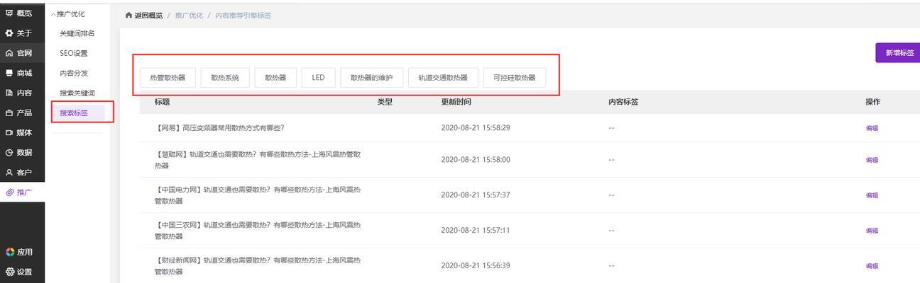 标签对网站优化排名的影响（探究标签的优化策略和技巧）