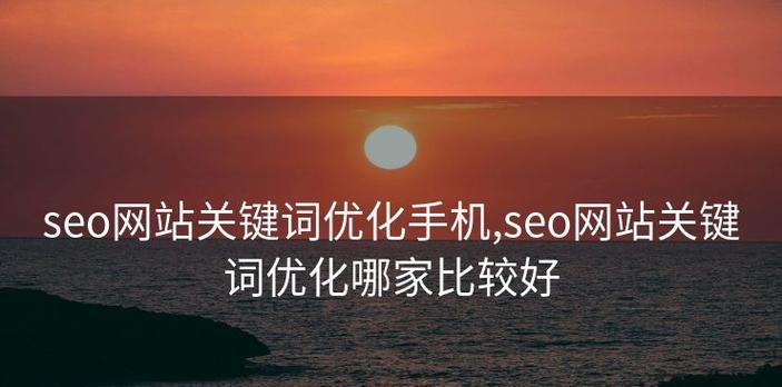 哪家SEO公司做得比较好？（探究国内知名SEO公司的优缺点，选择适合你的SEO服务）