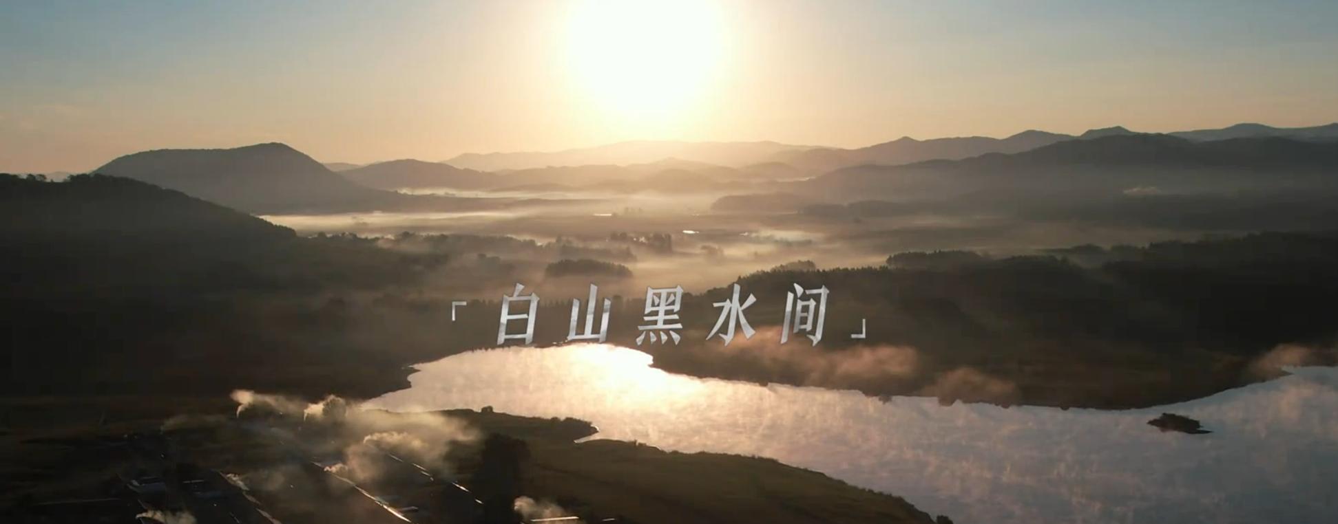 央八今晚播！36集历史大剧来袭，看完演员阵容我想说：这剧要爆！