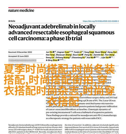 提高网站搜索排名的实用方法（掌握这些技巧，让你的网站轻松排名第一！）