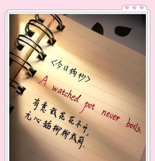 SEO优化（小心！过早地进行SEO优化可能会让你大失所望）