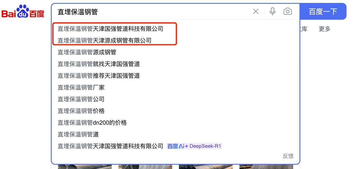 如何提高百度排名（掌握SEO技巧，让网站一飞冲天）