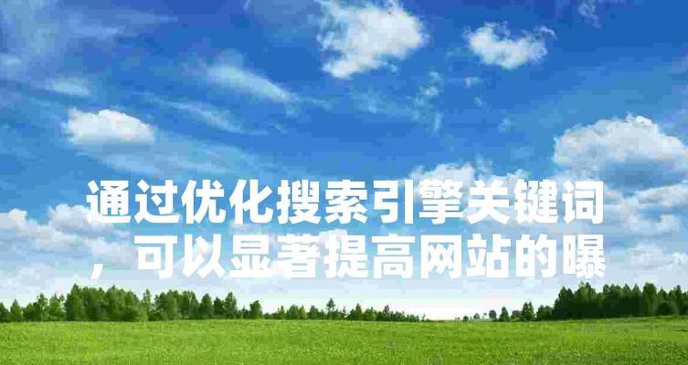 搜索引擎优化（让你的网站在搜索结果中脱颖而出，实现商业价值最大化）