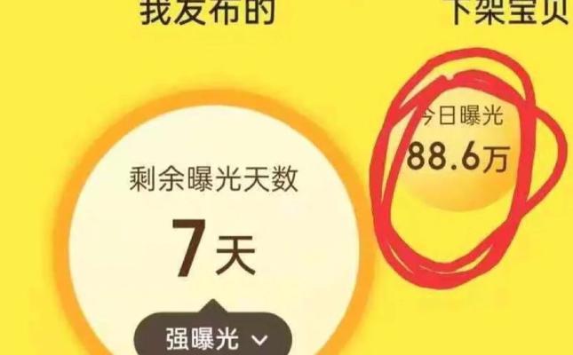 三十天内提高新网站权重攻略（通过实践掌握有效方法，助力网站优化）